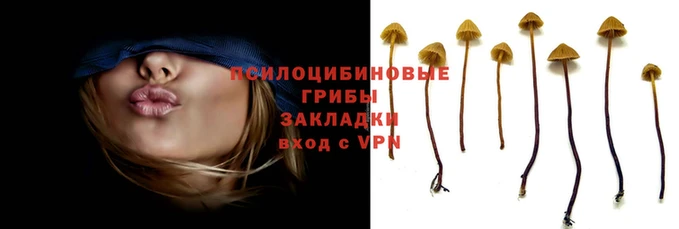 прущая мука Волосово
