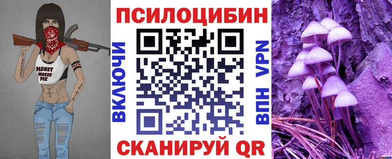 Псилоцибиновые грибы Cubensis Купить Сунжа
